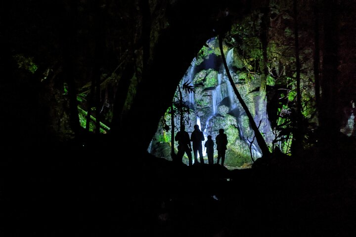 Nocturnal adventure Glow-worm tour - Photo 1 of 15